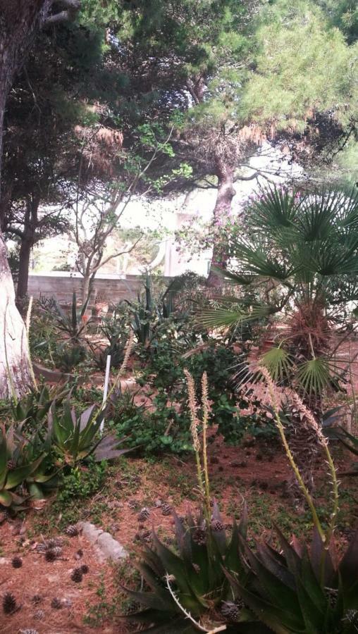 Il Giardino Su Lido Burrone Leilighet Favignana Eksteriør bilde